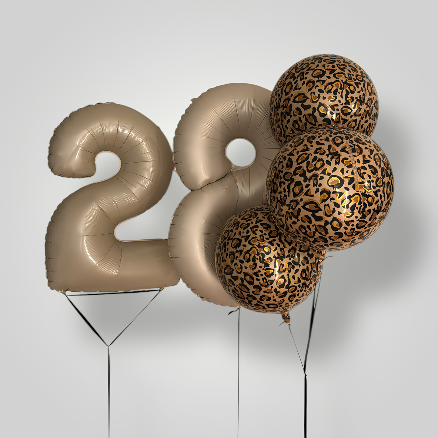 Leopard Chica Birthday (customized)
