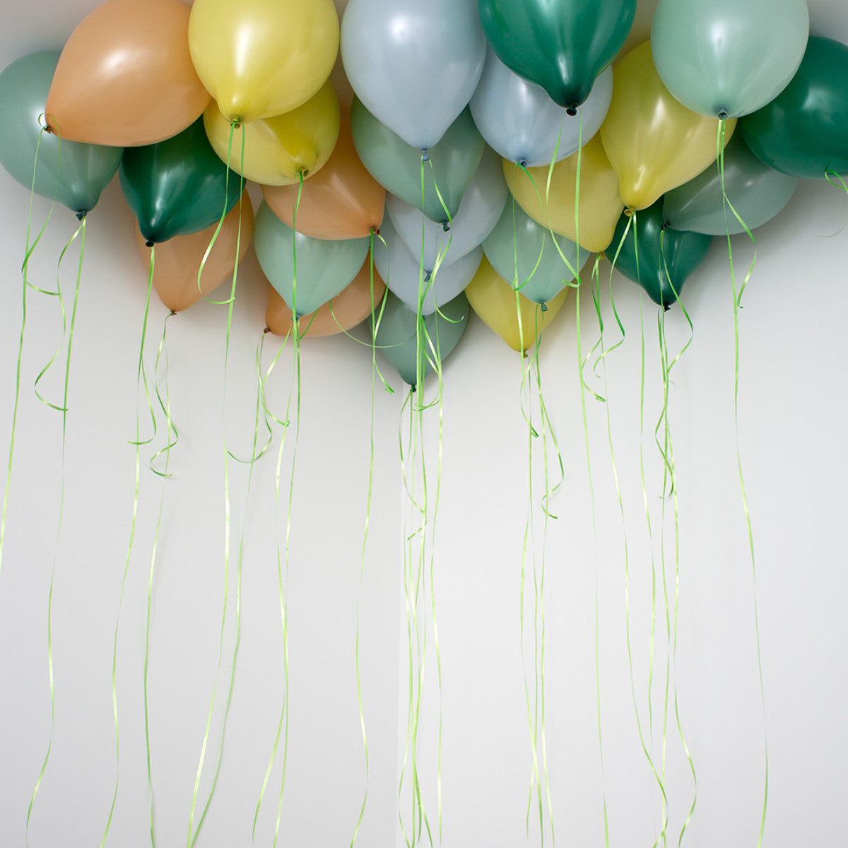 Dino Forest Balloons