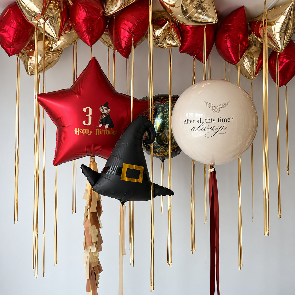 Wizard Magic Birthday Room Set