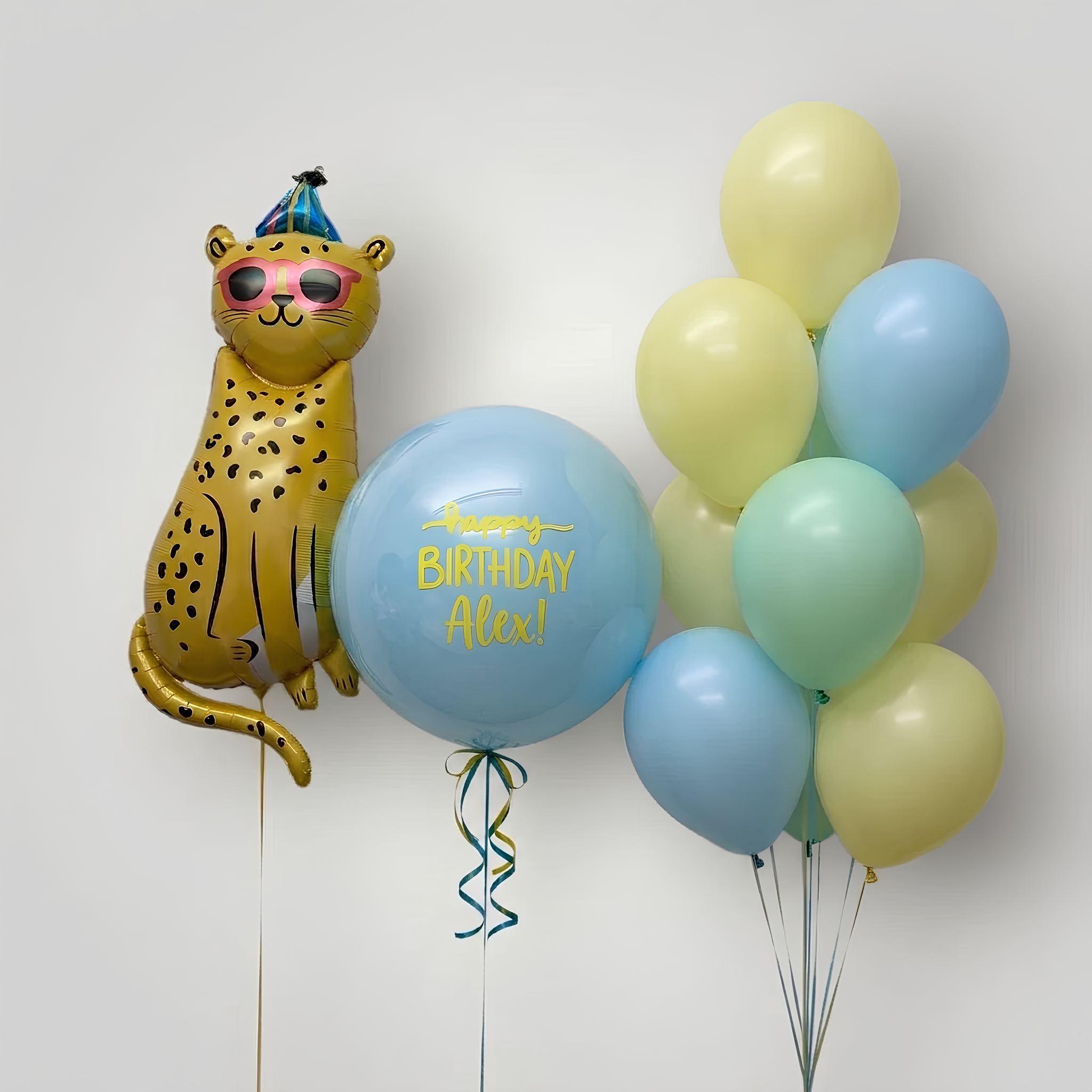Party Leo Birthday Set