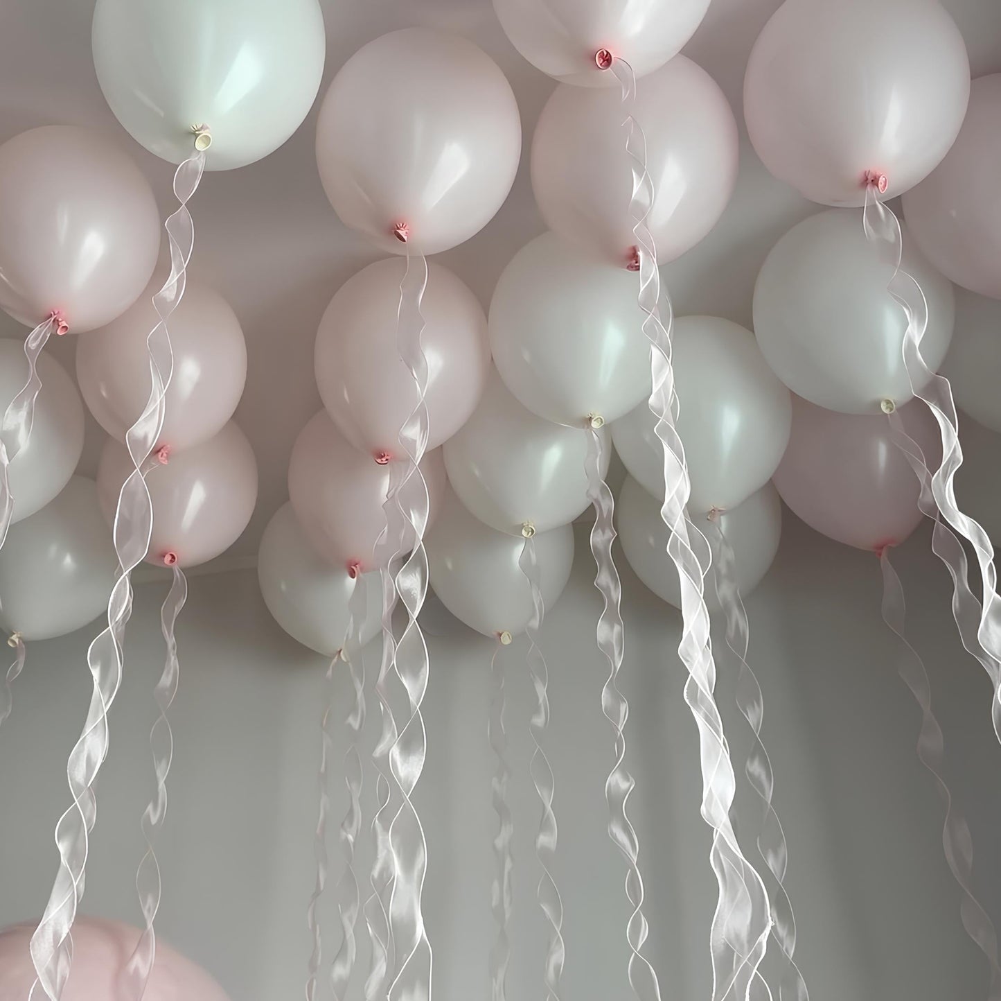 Blush & Butterfly Room Set