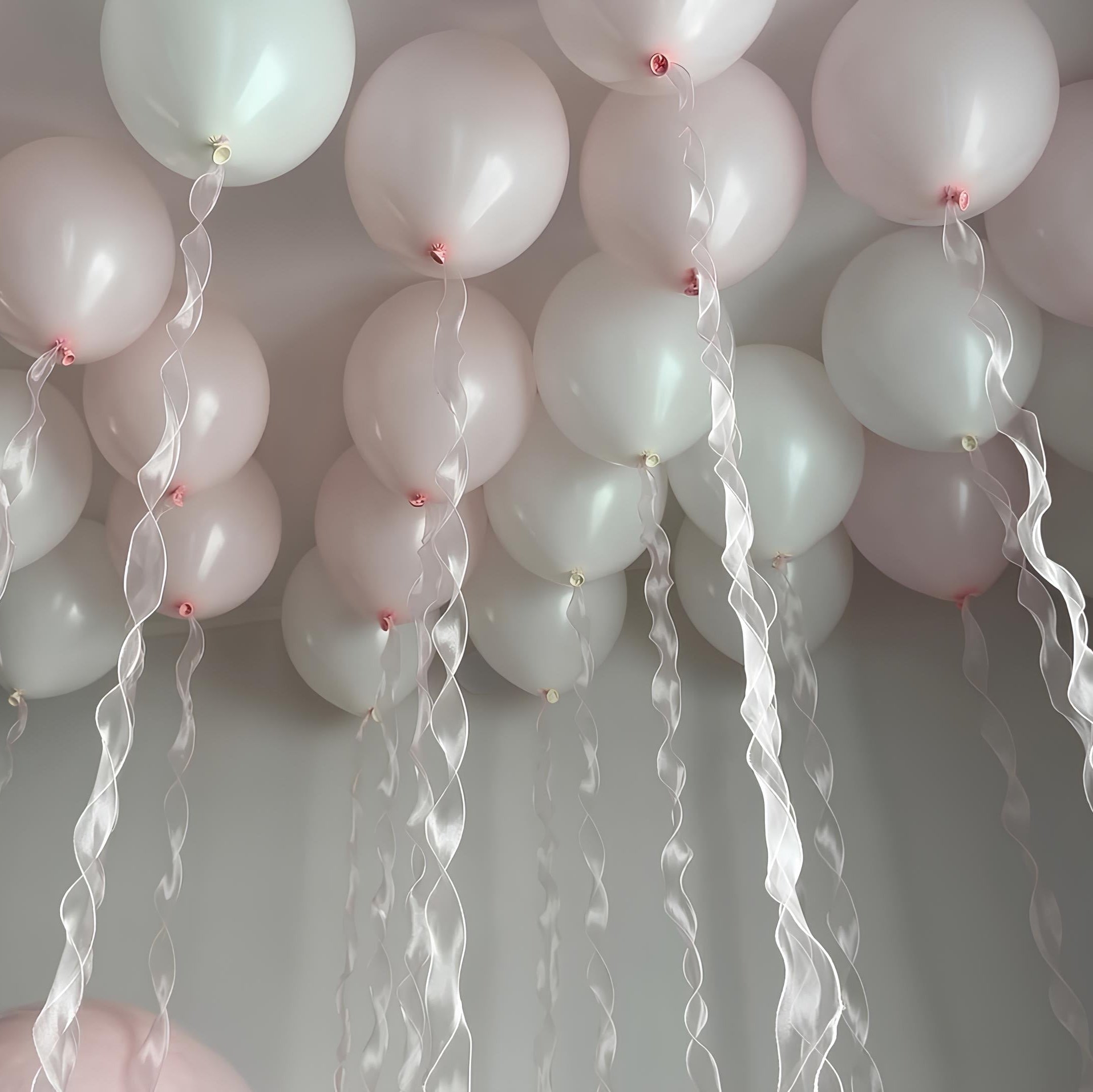 Blush & Butterfly Room Set