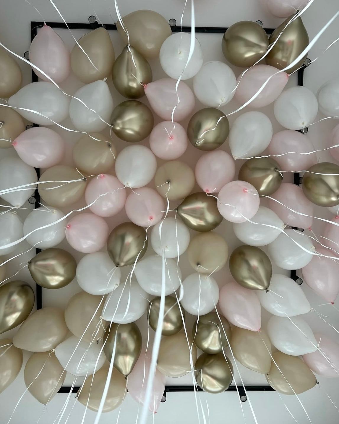 Gold & Pastel Pink Grand Room Decor (Customized)