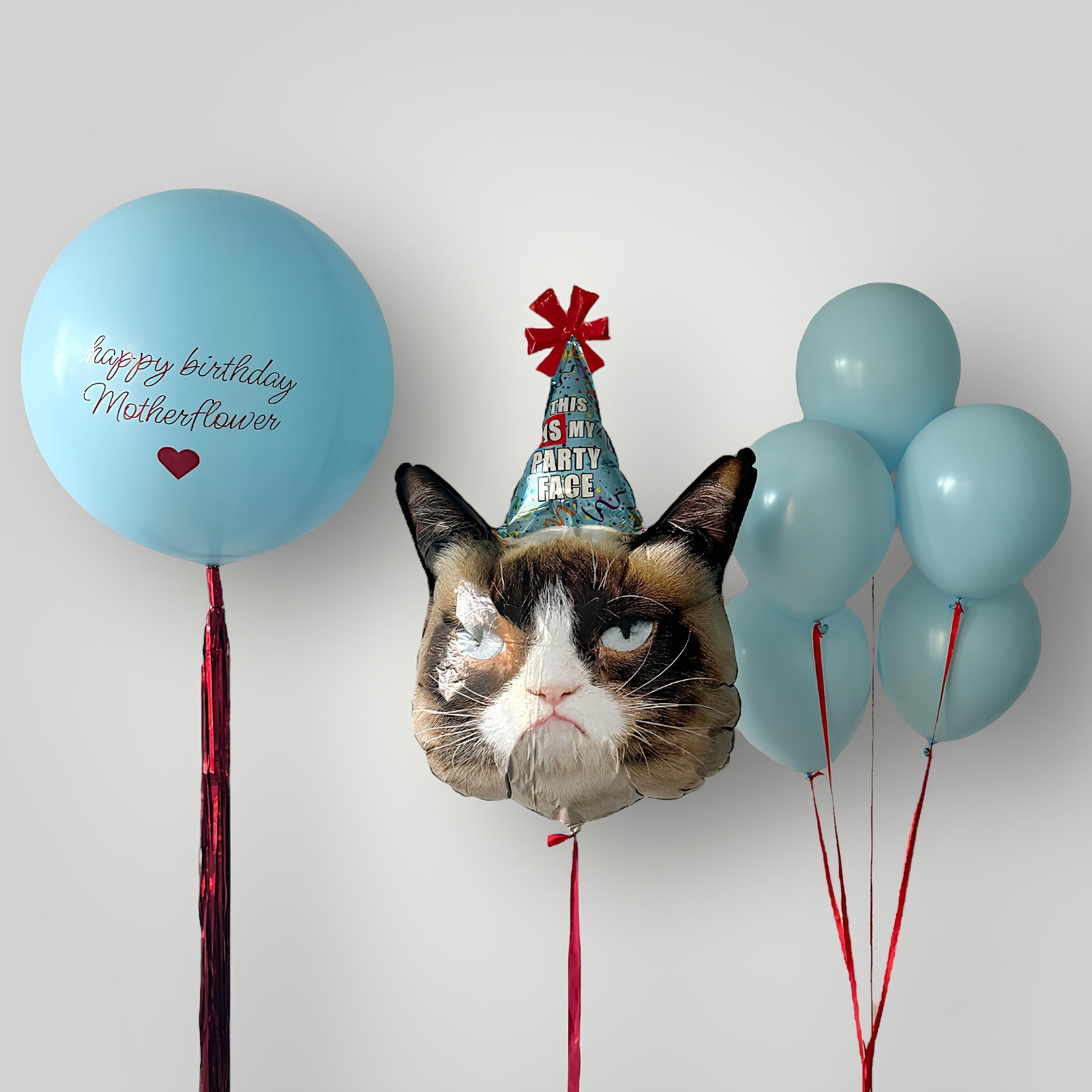 Grumpy Cat Jumbo Sphere and Baby Blue Latex Balloons