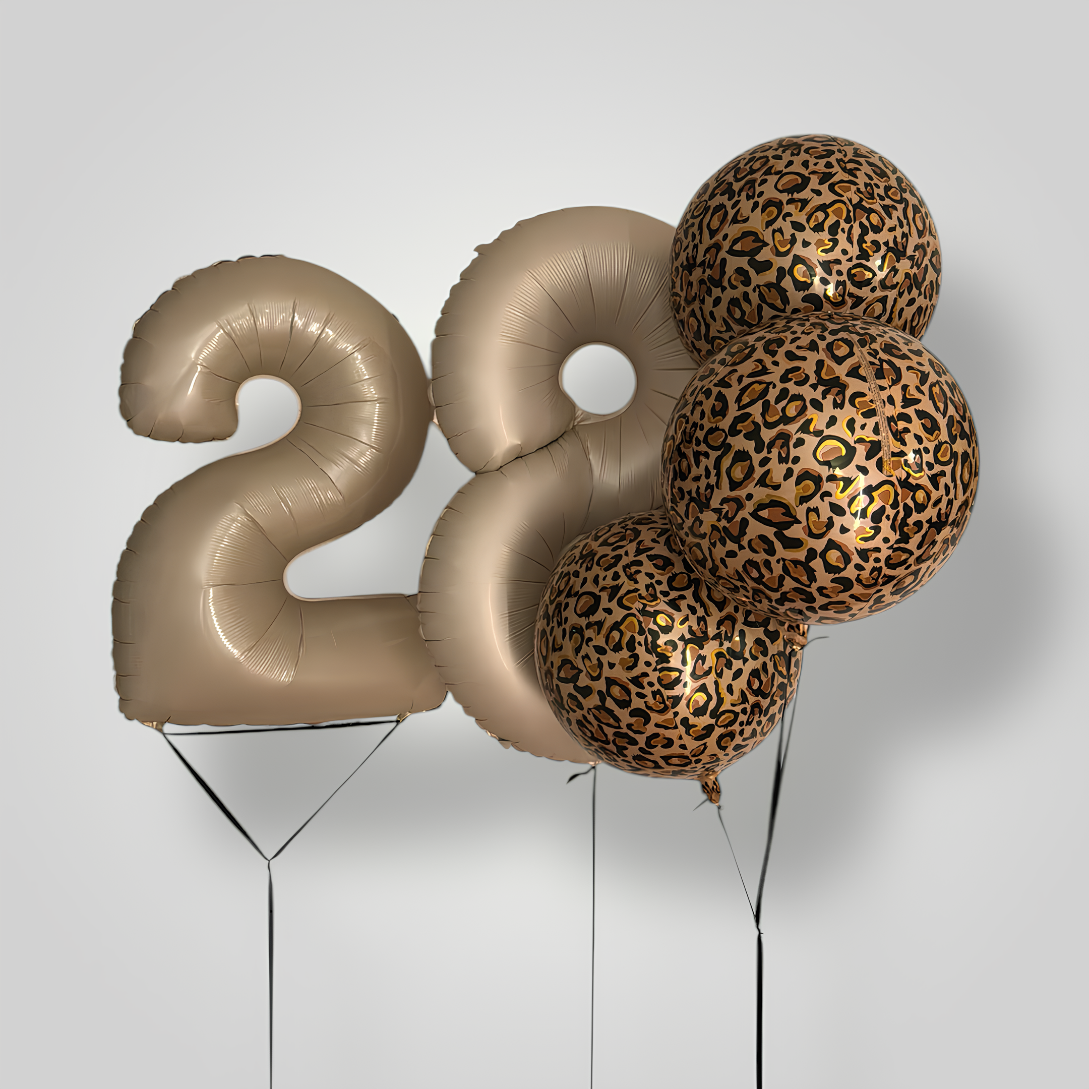 Leopard Chica Birthday (customized)