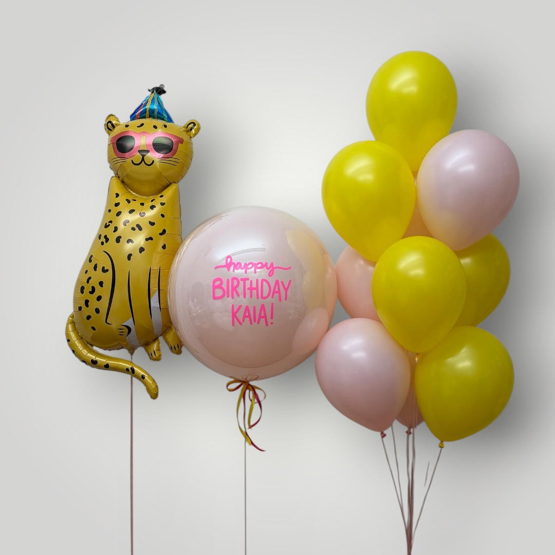 Party Leo Birthday Set