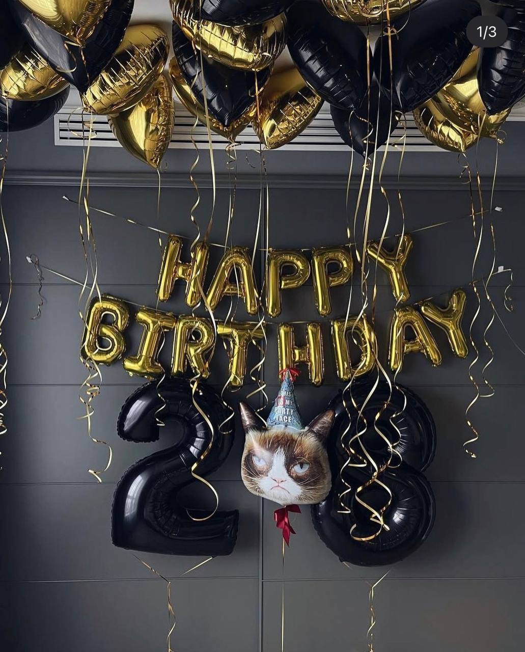 Grumpy Cat Birthday Balloon Room Decoration
